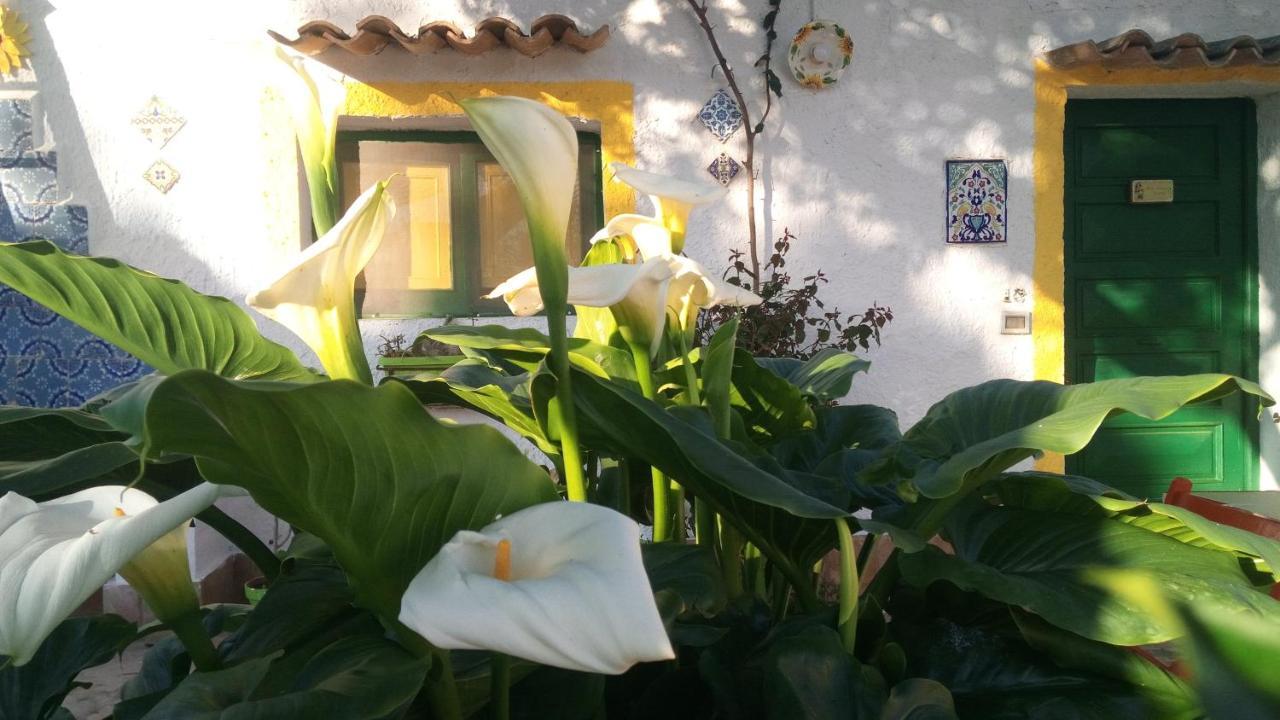 Villa Zagara Di Sicilia Marsala Exterior foto